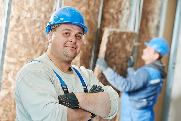 Best Insulation Maintenance and Repair in Dock Junction, GA